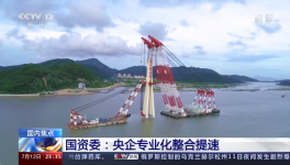 央視新聞報道：中國建材專業化整合成效經驗交流！