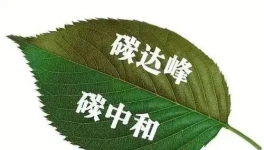 縫出匠心！這家環保企業脫穎而出！市場占有率名列前茅！