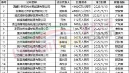 瘋狂！“上下”通吃！海螺連續成立50多家公司！