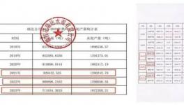 水泥企業存在“批小建大”等問題，這一地區連續被點名！