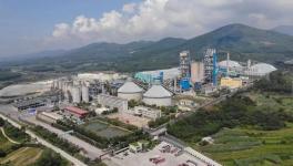 這家水泥企業今年前4個月，水泥產量同比增長30%!