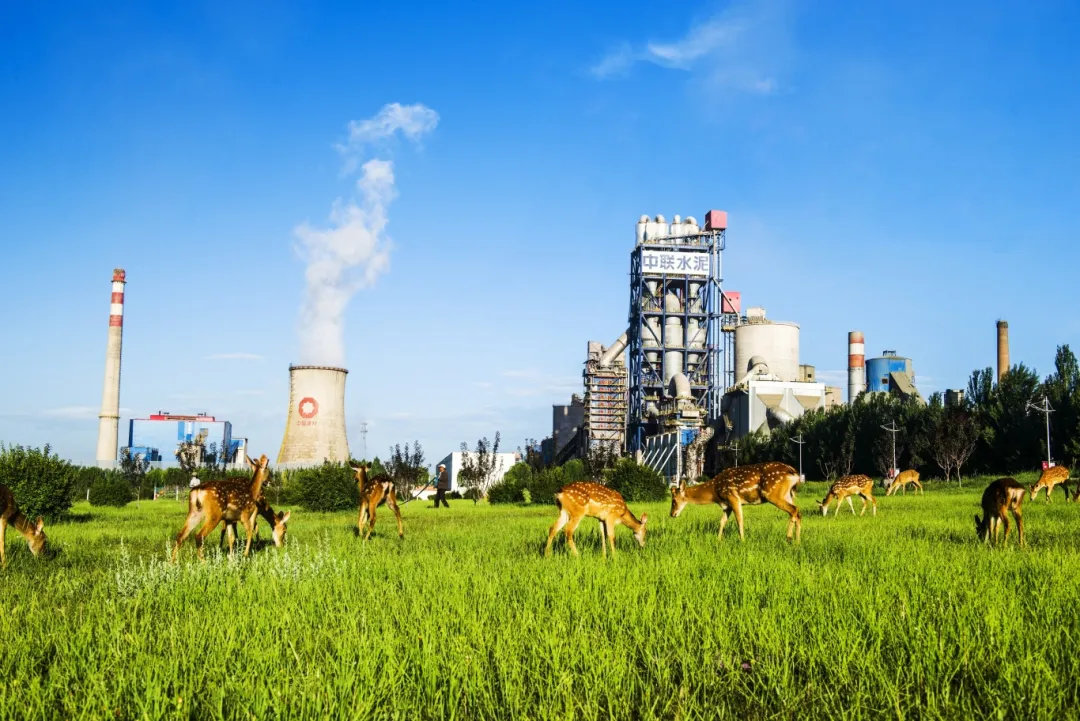 中聯人，出發！去我們的“阿勒泰”→