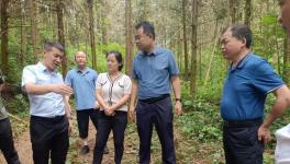 海螺水泥遷建項目有序推進中！