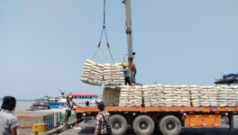 3000噸進口水泥抵達，這一地區水泥降價！